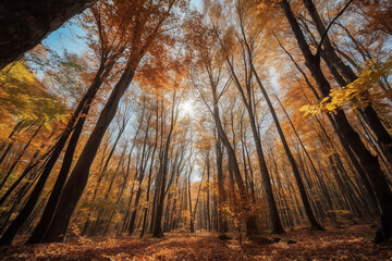 Wide angle autumnal forest landscape. Generative AI