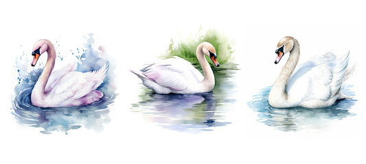 mute swan watercolor ai generated - obrazy, fototapety, plakaty