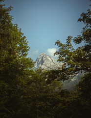 Montaña a través de árboles, los Alpes
