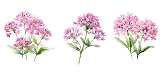 a valerian watercolor ai generated