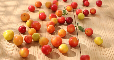 Red cherry plum scattered on a wooden table. fresh fruits on a sunny day. veggie food. High quality photo.