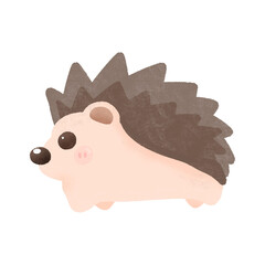 hedgehog on transparent background 