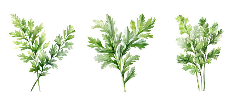 nature wormwood watercolor ai generated