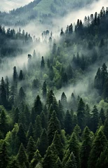 Plexiglas keuken achterwand Mistig bos Generative AI, Misty fir forest beautiful landscape in hipster vintage retro style, foggy mountains and trees.