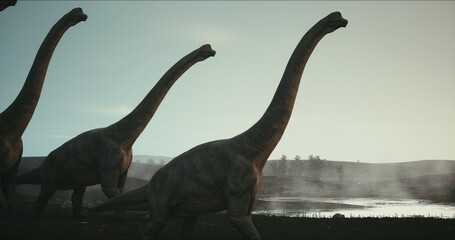 Brachiosaurus herd, sauropod walking in search of food. Jurassic period, Mesozoic era. 3D rendering