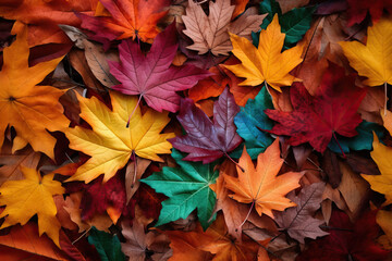 Naklejka na ściany i meble Colorful Autumn Leaves created with GenAI