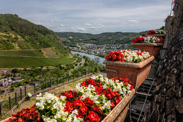 View from the castle called the 'Reichsburg' over the beautiful colored flower boxes and the German town of Cochem and the river Moselle.