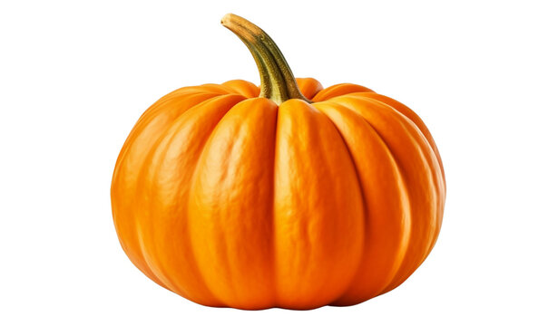 Pumpkin  - 1