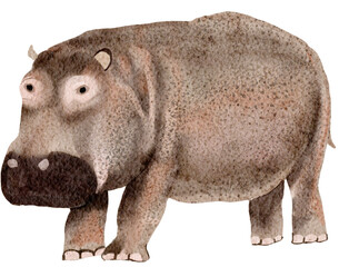 Hippo watocor painting