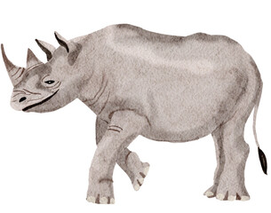 Fototapeta premium Rhino watercolor painting