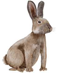 Ribbit watercolor painting