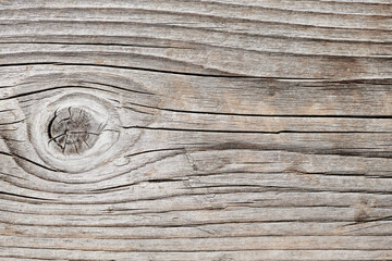 Surface of weathered wood with a knot. Detailed old wooden texture. Old dried grey wood plank. Closeup top view.