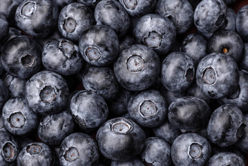 Delicious fresh sweet blueberries in a ceramic bowl. Vegan food