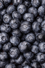 Delicious fresh sweet blueberries in a ceramic bowl. Vegan food