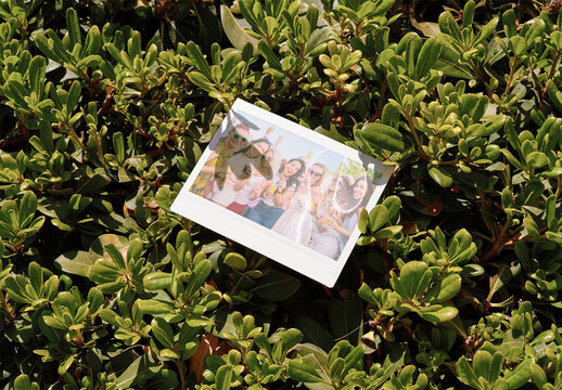 Mockup of customizable instant camera photo print in a hedge, available with different effects