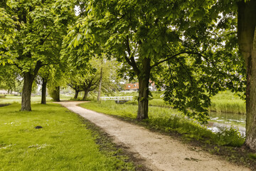 a path in the park with trees and grass on both sides, leading to a small river or lake below