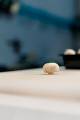 A close-up of a mushroom on a professional kitchen table the concept of loving cooking and the process of cutting up vegetables 