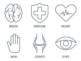 Fototapeta Thin line icons set for nutrient supplements obraz