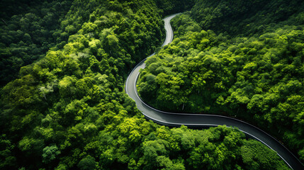 Aerial view of a road in the middle of the green forest , road curve up to mountain. Travel with car concept.