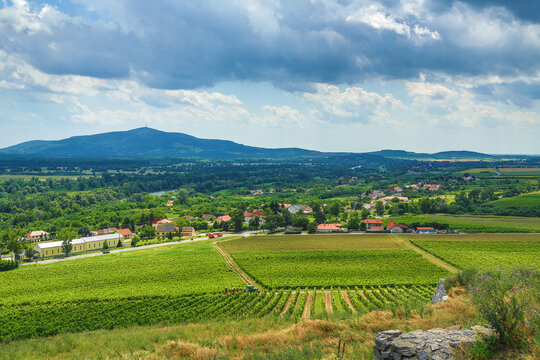 Summer in the Tokaj region near Szegi