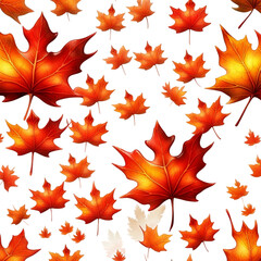 Obraz premium Maple leaves.