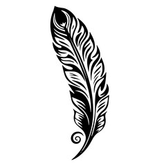 bird feather silhouette illustration 