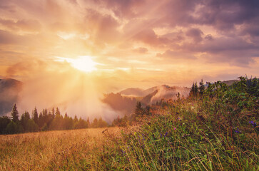 Foggy morning landscape