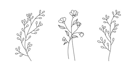 Hand drawn wild field flora, flowers, leaves, herbs, plants, branches. Minimal floral botanical line art. Vector illustration for logo or tattoo, invitations, save the date card.