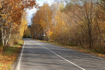 Obraz premium Rural autumn landscape. Small road, sunny day, trees with orange foliage. Warm, bright colors.