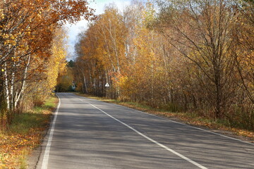 Rural autumn landscape. Small road, sunny day, trees with orange foliage. Warm, bright colors.