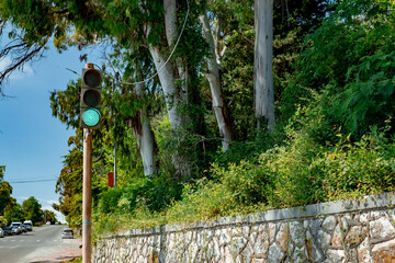 a city crossing with semaphore. Green traffic light by road in southern region. Green trees on...