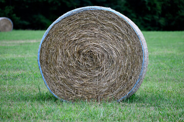 hay bale in the field rural  Georgia, USA.