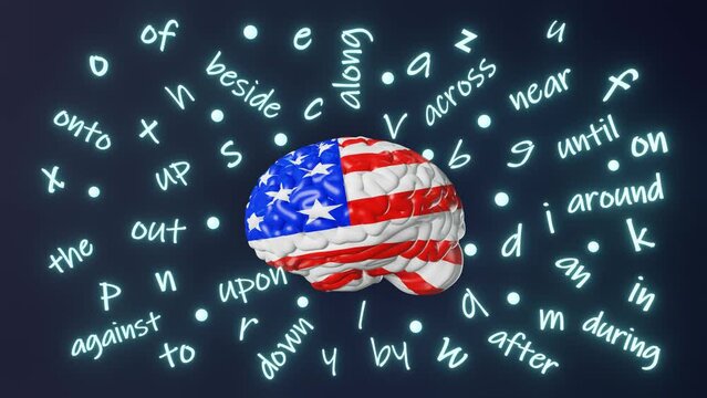 English learning American pronunciation Foreign language fluency conversation Human brain letter prepositions grammar accent 3d animation loop Studying USA Online school Speaking Course Advanced Level