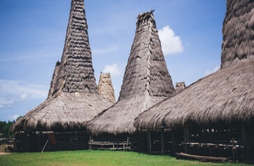 Traditional cottages with thatched roofs on lawn