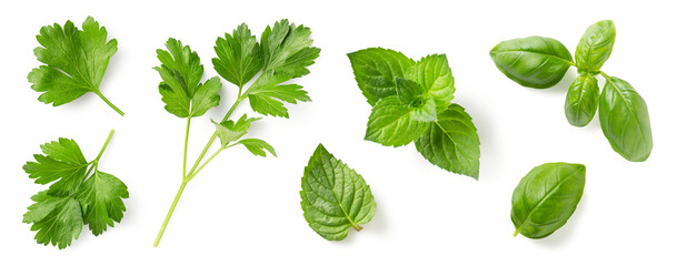 set / collection of fresh Mediterranean herbs: parsley, mint and basil leaves and twigs isolated over a transparent background, herbal food and cooking design elements, top view / flat lay