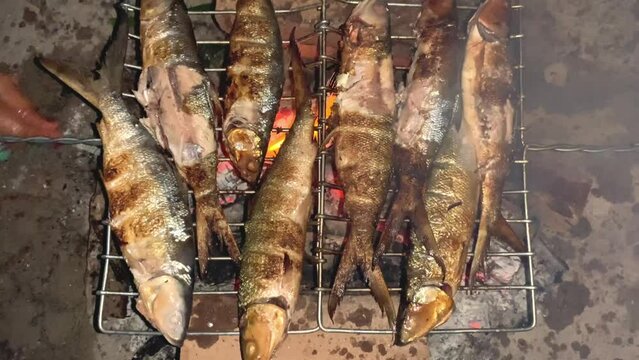 Grilled of marinated milkfish on fish grill over charcoal. Barbecue at night with low light.