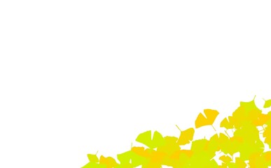 いちょう　その2