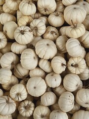 Pile of many harvested white pumpkins at farmers market. Autumn fall seasonal background