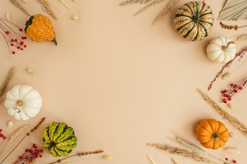 Small decorative pumpkins and dried grass. Autumn, fall, thanksgiving or halloween concept with blank mockup copy space. Flat lay, top view