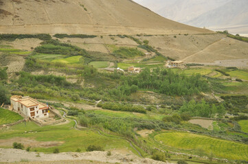 Scenery of a beautiful small green village in Padum, Zanskar Valley, Ladakh, INDIA. 