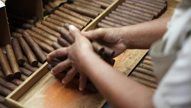 Close up slow motion of the black female hands lay out just finished rolled unlabeled cigars to size in a wooden box. Premium handmade cuban cigars factory