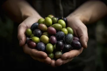 Foto auf Acrylglas Ligurien Fresh picked olives. Generate Ai