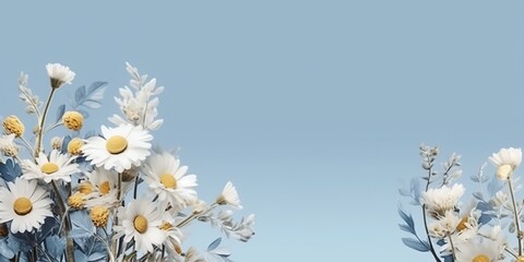 AI Generated. AI Generative. Outdoor nature wild flowers chamomile daisy plant herbal botanical blossom romantic vibe