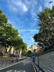 view of Seoul city. 덕수궁 돌담길