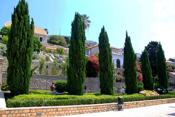 Blooming colorful oleanders and other plants on the Dubrovnik streets, Croatia. Flowers and plants...