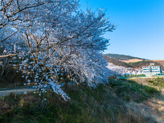 합천 회양관광지