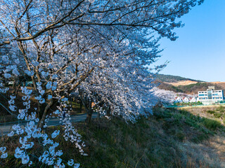 합천 회양관광지