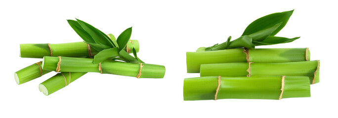 Green bamboo with leaves isolated on white background with full depth of field
