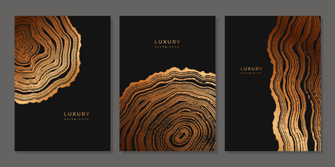 Set of templates. Luxury golden background with wood annual rings texture. Banner with tree ring pattern. Stamp of tree trunk in section. Natural wooden concentric circles. Black and bronze background - obrazy, fototapety, plakaty