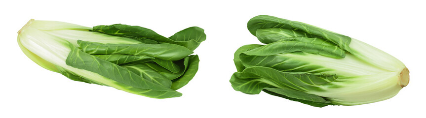 Organic fresh chard plant isolated on white background with full depth of field